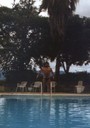 Plivač - Afrika 1988.